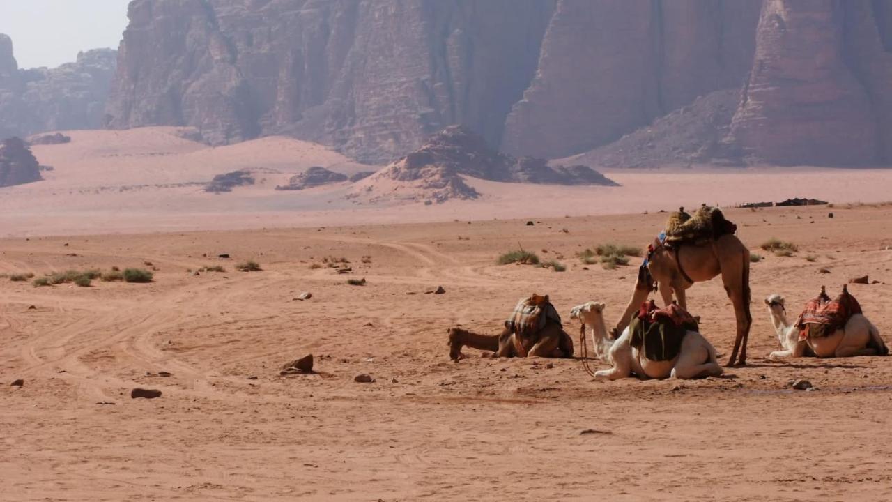 ホテルBedouin Memories Camp ワディ ・ラム エクステリア 写真